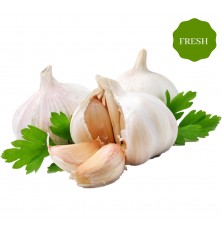 FRESH Garlic 500GM